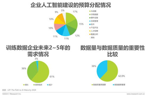 2024年中國(guó)AI基礎(chǔ)數(shù)據(jù)服務(wù)研究報(bào)告 網(wǎng)絡(luò)文化經(jīng)營(yíng)視角